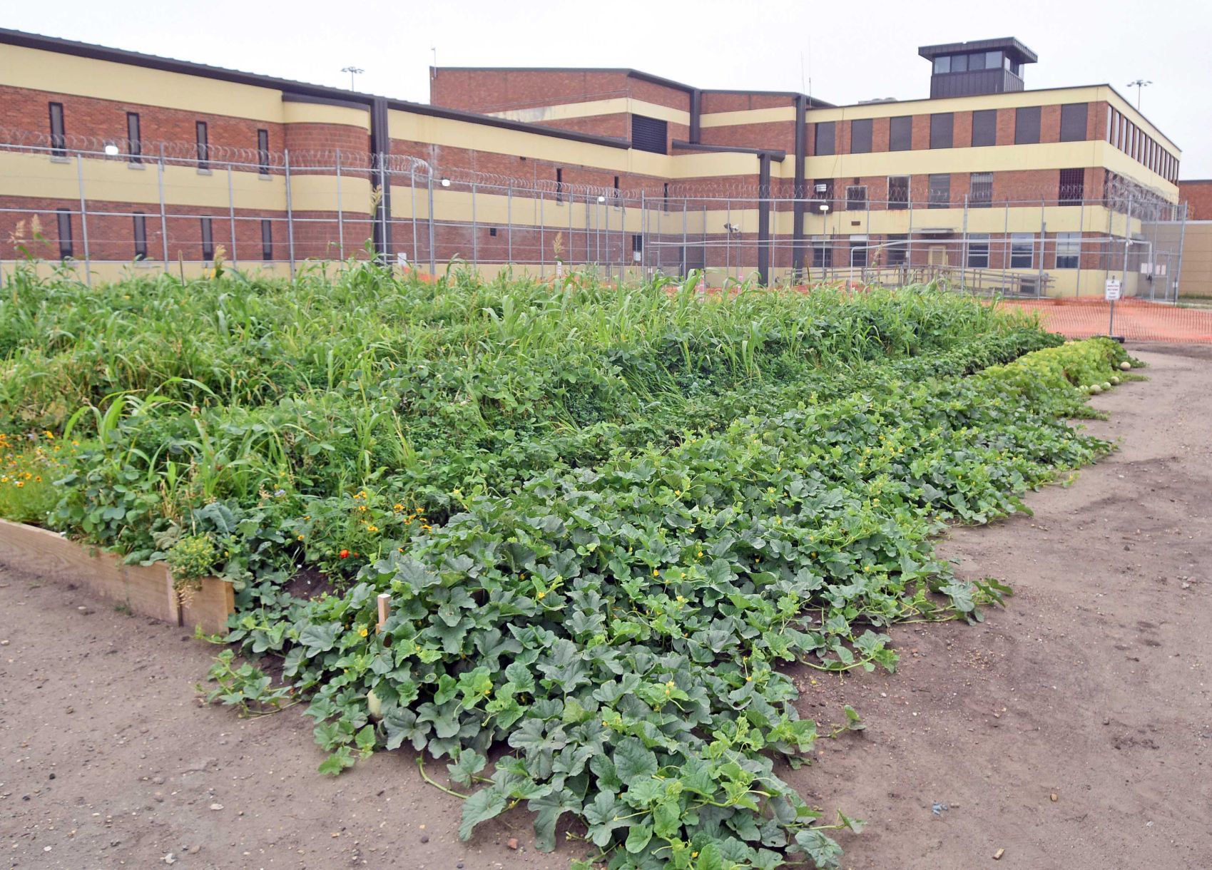 Prison garden